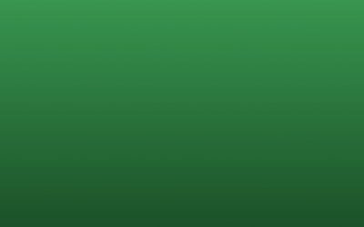 FakS-Musical 2026: Shrek