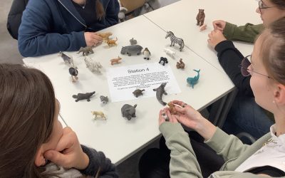 Basiskompetenzen im SEJ